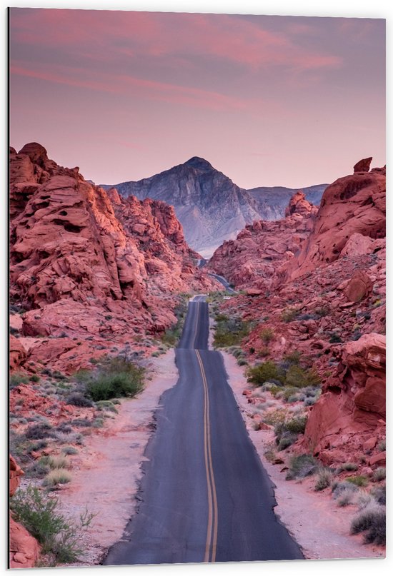 WallClassics - Dibond - Weg in Valley of Fire State Park in Nevada - 60x90 cm Foto op Aluminium (Met Ophangsysteem)
