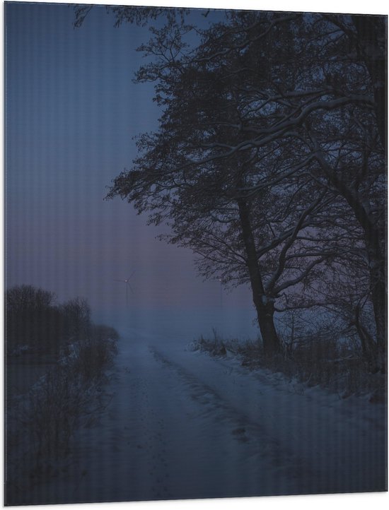 Vlag - Donker Besneeuwd Pad langs Bomen - 75x100 cm Foto op Polyester Vlag