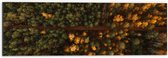 WallClassics - Dibond - Bovenaanzicht van Bos met Groene en Oranje Bomen - 60x20 cm Foto op Aluminium (Wanddecoratie van metaal)