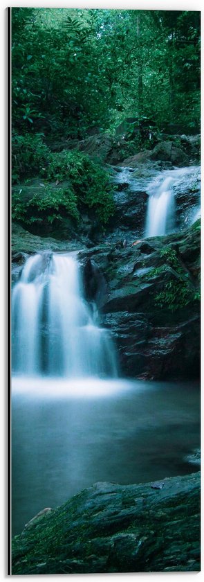 WallClassics - Dibond - Kleine Watervallen in Bos vol Begroeiing - 20x60 cm Foto op Aluminium (Met Ophangsysteem)