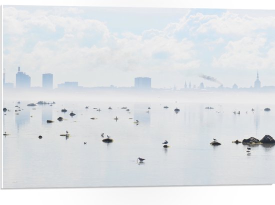 WallClassics - PVC Schuimplaat - Mist bij Skyline achter Meer met Vogels - 75x50 cm Foto op PVC Schuimplaat (Met Ophangsysteem)