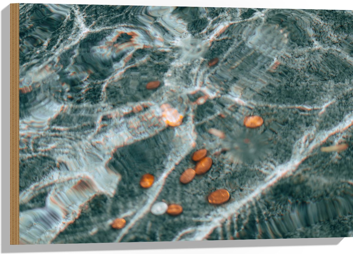 Hout - Kleingeld op Bodem van Fontein - 75x50 cm - 9 mm dik - Foto op Hout (Met Ophangsyst