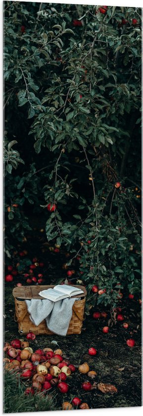 WallClassics - Acrylglas - Mandje voor Appels Plukken - 50x150 cm Foto op Acrylglas (Met Ophangsysteem)