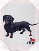 I love dog Canvas Teckel 19x25cm