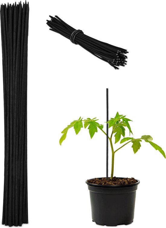 bamboe stokken set van 50 - 30 x 0,5 cm - met binddraad - kamerplanten - tuin