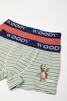 Woody boxer jongens - schildpad - 231-1-CLE-Z/018 - maat 128