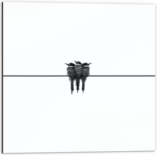 Dibond - Drie Vogeltjes op een Rij - 50x50 cm Foto op Aluminium (Wanddecoratie van metaal)