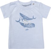 Noppies T-shirt Montevallo Baby Maat 56