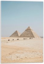 WallClassics - Acrylglas - Piramides in de Woestijn met Kamelen - 40x60 cm Foto op Acrylglas (Met Ophangsysteem)