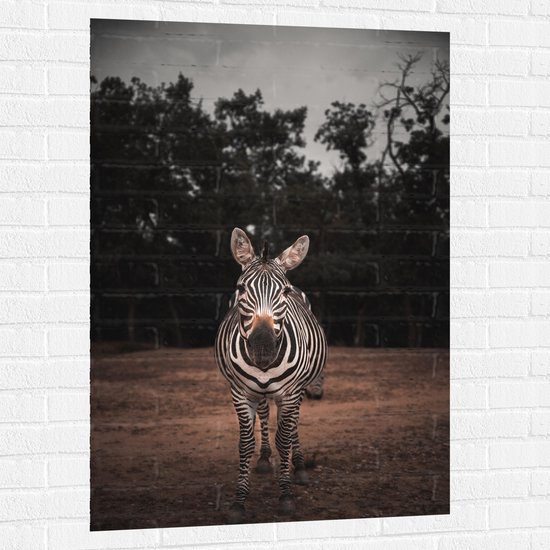 WallClassics - Muursticker - Zebra in de Bossen - 80x120 cm Foto op Muursticker