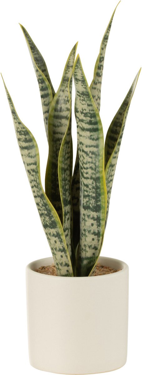 J-Line plant Sansevieria in pot - kunststof - groen - small