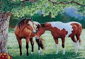 Denza - Diamond painting volwassenen 2 paarden 40 x 50 cm volledige bedrukking ronde steentjes direct leverbaar - unieke afbeelding - horse - weiland - paard