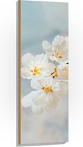 WallClassics - Hout - Witte Sakura Bloem - 40x120 cm - 9 mm dik - Foto op Hout (Met Ophangsysteem)