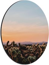 WallClassics - Dibond Ovaal - Cylindropuntia Fulgida Plantjes voor Berglandschap met Oranje Lucht - 21x28 cm Foto op Ovaal (Met Ophangsysteem)