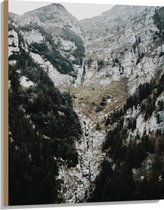 WallClassics - Hout - Wit met Grijze Berg met Bomen - 75x100 cm - 9 mm dik - Foto op Hout (Met Ophangsysteem)