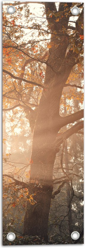 WallClassics - Tuinposter – Zon Schijnend door de Bossen - 20x60 cm Foto op Tuinposter (wanddecoratie voor buiten en binnen)