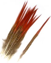 Goudfazant veren rood 10-15 cm (per 5 stuks)