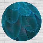 WallClassics - Muursticker Cirkel - Blauwe Veren - 90x90 cm Foto op Muursticker