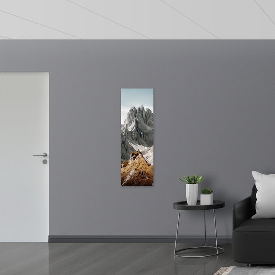 Dibond - Grijs/Beige Bergen - 40x120 cm Foto op Aluminium (Wanddecoratie van metaal)