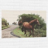 WallClassics - Muursticker - Rennende Paarden langs de Weg - 105x70 cm Foto op Muursticker