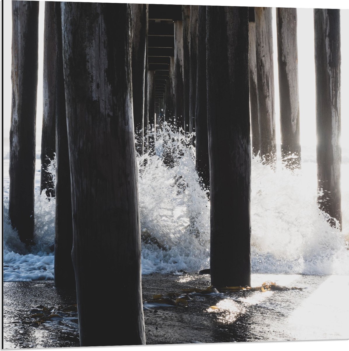 Dibond - Water klots4end tegen Houten Palen in de Zee - 80x80 cm Foto op Aluminium (Wandde