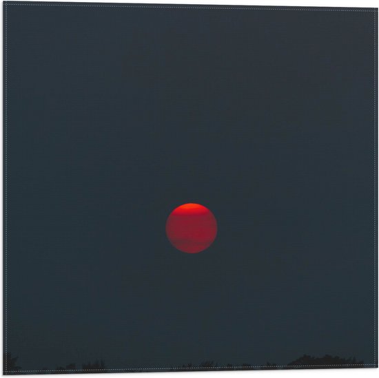 WallClassics - Vlag - Rode Bloedmaan in Heldere Nacht - 50x50 cm Foto op Polyester Vlag