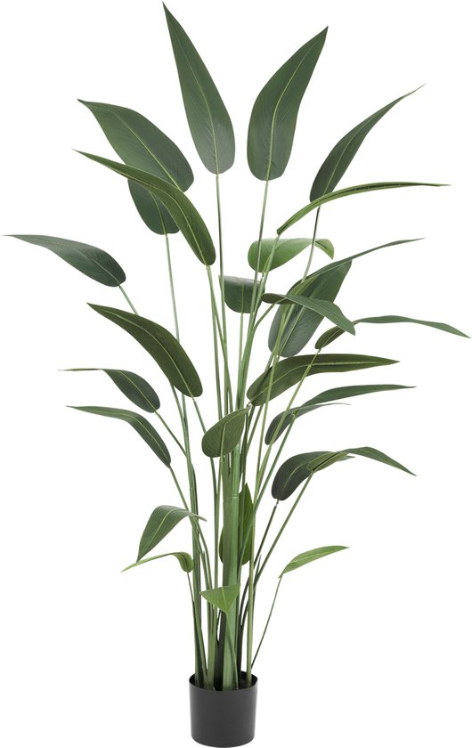 Greenmoods Kunstplanten - Kunstplanten - Heliconia - Zijde - 180 cm