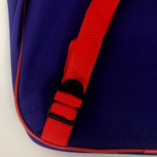 Rugzak 42 cm - Premium kwaliteit - 42 x 30 x 16 cm - 2 hoofdvak met ritssluiting aan de buitenkant en 1 hoofdvak met ritssluiting aan de buitenkant met 2 zijvakken