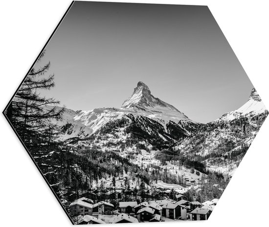 WallClassics - Dibond Hexagon - Grote Boom voor Sneeuwbergen (zwart/ wit) - 50x43.5 cm Foto op Hexagon (Met Ophangsysteem)