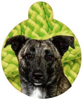 Gepersonaliseerde Huisdier ID Tag - Hondenpenning of kattenpenning met eigen foto en tekst