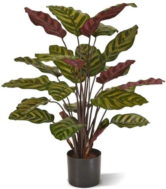 Calathea kunstplant