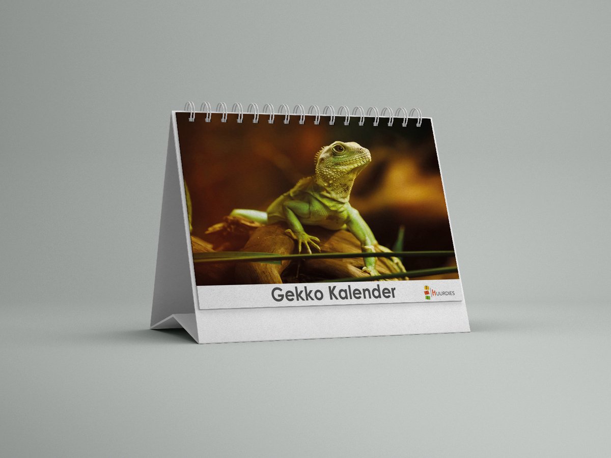 Gekko bureaukalender - verjaardagskalender - 20x15cm - Huurdies