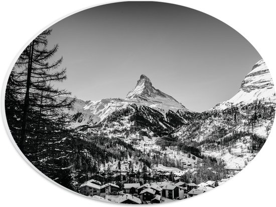 WallClassics - PVC Schuimplaat Ovaal - Grote Boom voor Sneeuwbergen (zwart/ wit) - 28x21 cm Foto op Ovaal (Met Ophangsysteem)