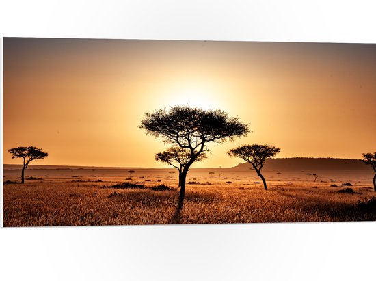 WallClassics - PVC Schuimplaat- Silhouet van Enkele Bomen in Droog Landschap - 100x50 cm Foto op PVC Schuimplaat