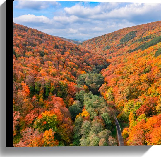Canvas - Uitzicht van een Kleurrijk Bos in de Herfst - 40x40 cm Foto op Canvas Schilderij (Wanddecoratie op Canvas)