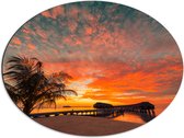 Dibond Ovaal - Zonsondergang op het Strand met Palmbomen en Paalwoningen - 68x51 cm Foto op Ovaal (Met Ophangsysteem)