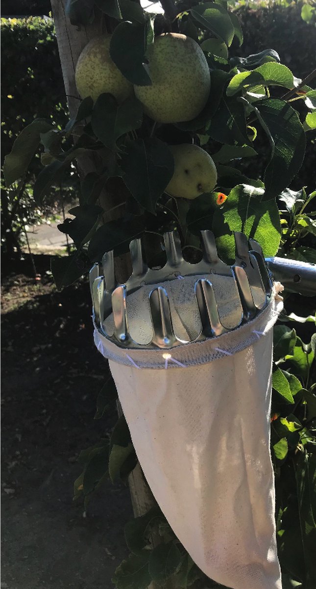 Fruitplukker / appelplukker met stevige uitschuifbare steel tot 3 meter van Kinzo Garden — afbeelding 3