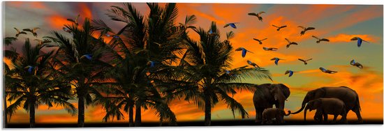 WallClassics - Acrylglas - Olifanten bij Palmbomen met Tropische Vogels - 90x30 cm Foto op Acrylglas (Wanddecoratie op Acrylaat)