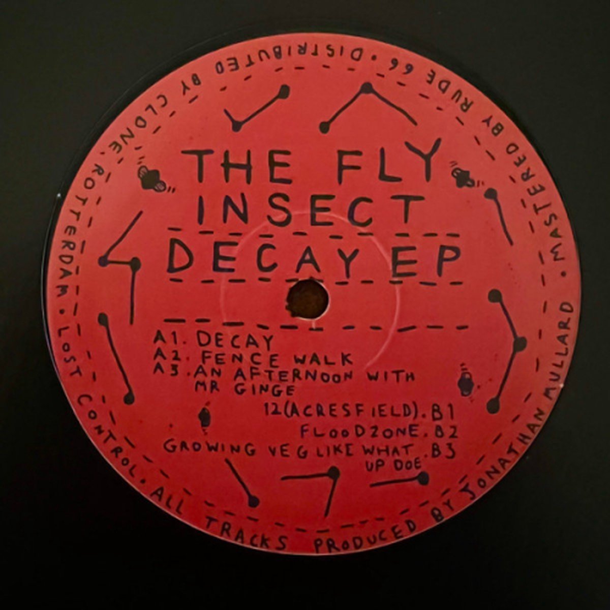The Fly Insect - Decay Ep