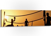 Hout - Silhouet van Gelukkig Familie op het Strand tijdens Volleybal - 120x40 cm - 9 mm dik - Foto op Hout (Met Ophangsysteem)