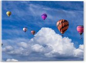 WallClassics - Acrylglas - Groepje Gekleurde Luchtballonnen bij Wolken in Blauwe Lucht - 40x30 cm Foto op Acrylglas (Wanddecoratie op Acrylaat)