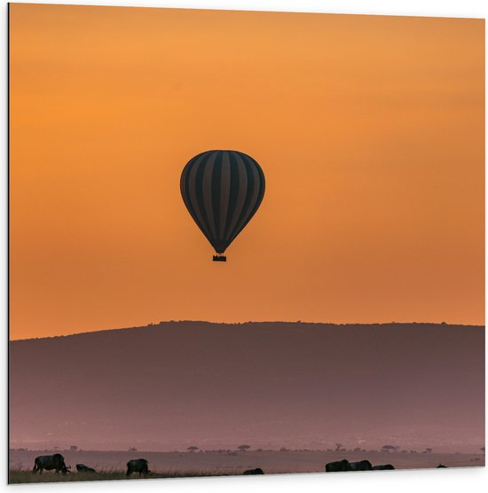 WallClassics - Dibond - Blauw met Witte Luchtballon boven Veld vol Bizons - 100x100 cm Foto op Aluminium (Wanddecoratie van metaal)