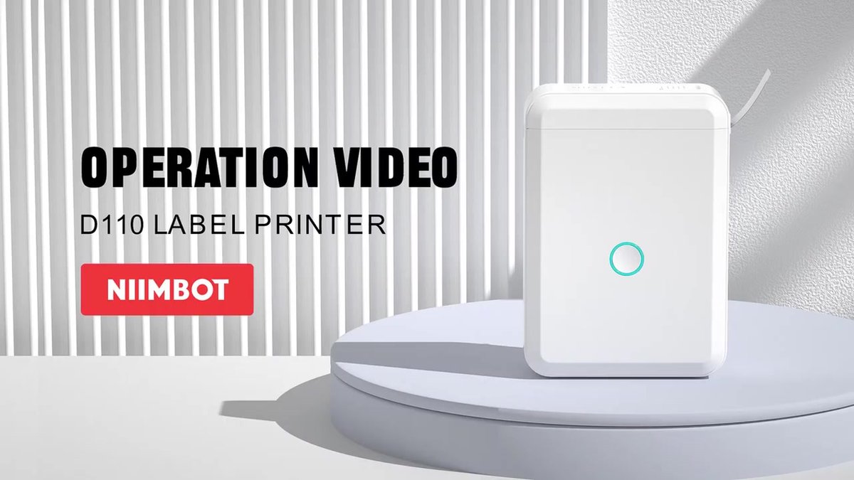 NIIMBOT D110 Mini Impresora de Etiquetas con Cinta (Tamaño Pre-Cortado