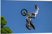 WallClassics - PVC Schuimplaat - Freestyle Motocross boven Boom - 90x60 cm Foto op PVC Schuimplaat (Met Ophangsysteem)