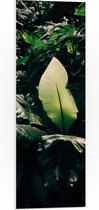PVC Schuimplaat- Zonlicht op Groene Bladeren - 30x90 cm Foto op PVC Schuimplaat