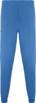 Lab Blauw unisex lange broek voor hygiene beroepen (schoonheid, laboratorium, schoonmaak en voedsel) Fiber maat M