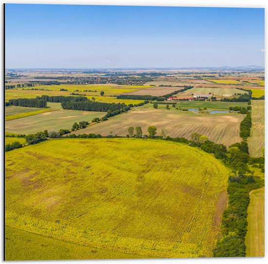 Dibond - Bovenaanzicht Landschap met Gras en Planten - 50x50 cm Foto op Aluminium (Met Ophangsysteem)