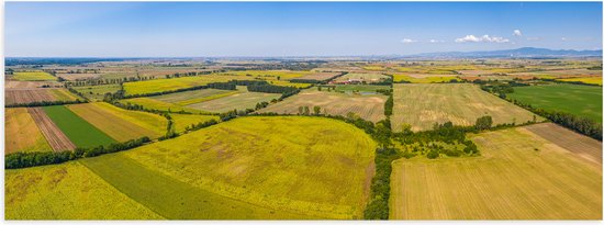 Poster (Mat) - Bovenaanzicht Landschap met Gras en Planten - 60x20 cm Foto op Posterpapier met een Matte look