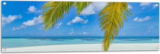 Tuinposter – Palmbladeren Hangend voor Tropisch Eiland met Breed Strand - 120x40 cm Foto op Tuinposter (wanddecoratie voor buiten en binnen)