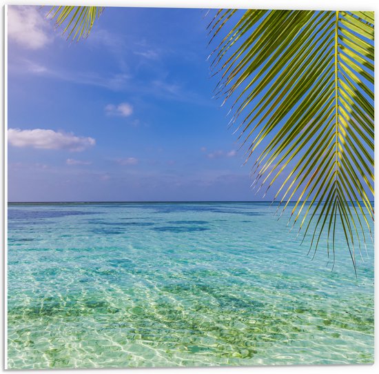 PVC Schuimplaat- Palmbladen hangend voor een Heldere Oceaan - 50x50 cm Foto op PVC Schuimplaat